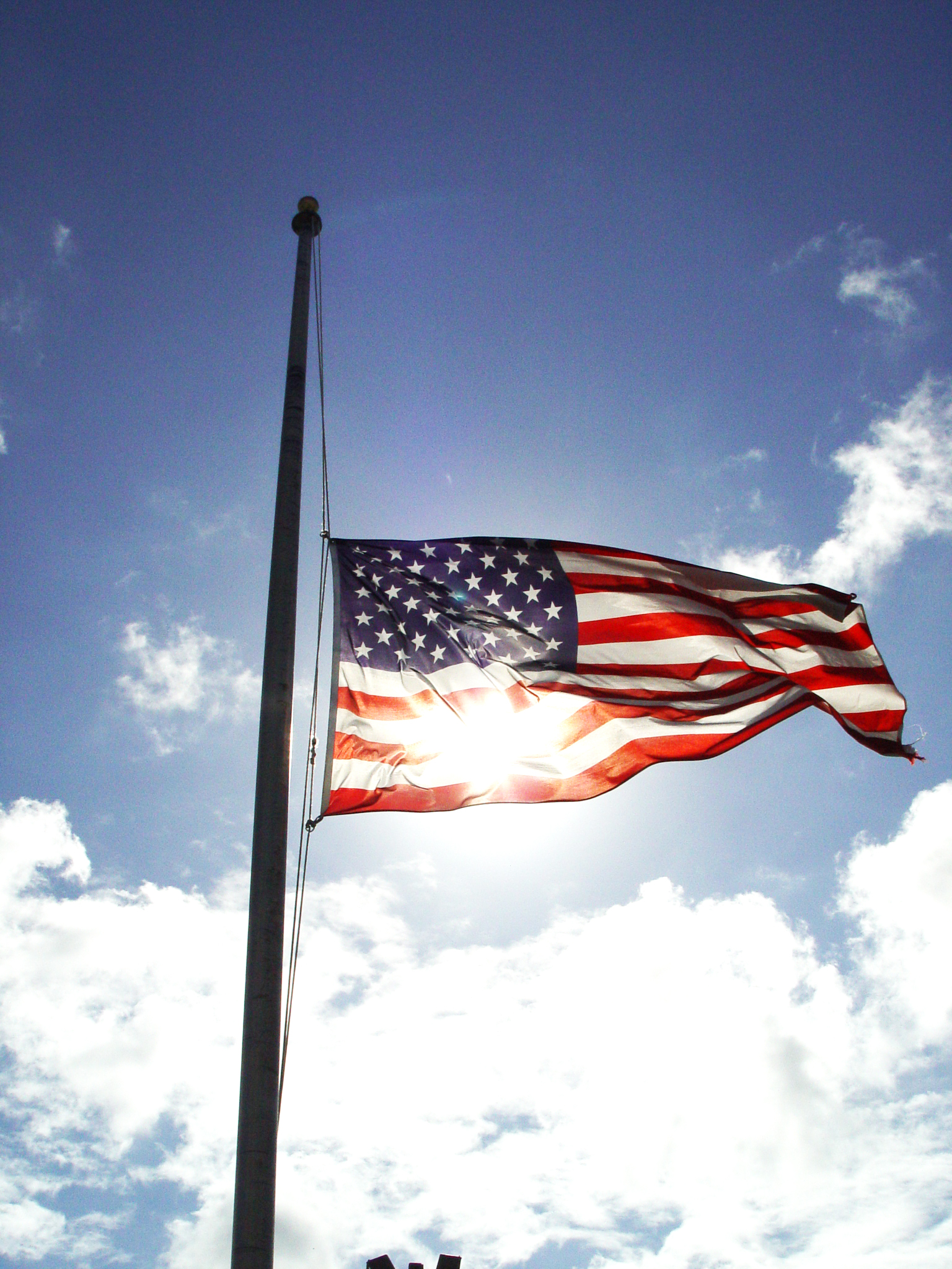 Flags at half staff today